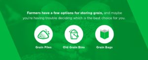 The Three Options for Storing Grains
